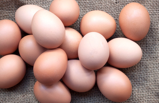 Hen eggs basket / fresh farmer's eggs