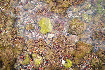 LOS CORRALES DE CHIPIONA, CÁDIZ. ANDALUCÍA, ESPAÑA