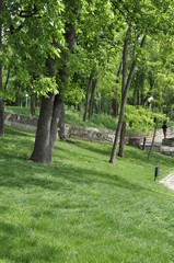 A park