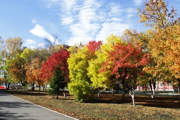 autumn in the park