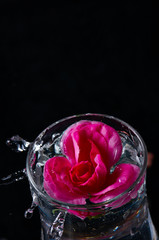 コマーシャルフォト