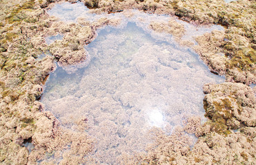 LOS CORRALES DE CHIPIONA, CÁDIZ. ANDALUCÍA, ESPAÑA
