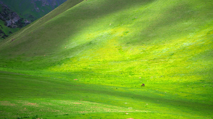 Huge green landscape with small horse rider