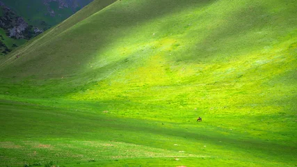 Gordijnen Huge green landscape with small horse rider © yoshi