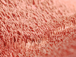 3d rendered illustration of human cilia - obrazy, fototapety, plakaty