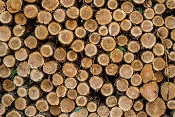 Möbelaufkleber Cut logs stacked, Background. © Jon