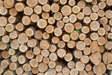 Cut logs stacked, Background.