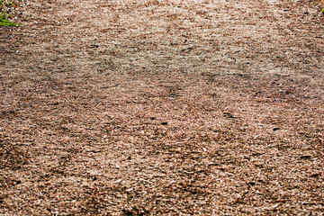 Texture of country road is close