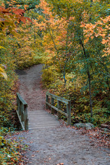 Walking Path in Fall