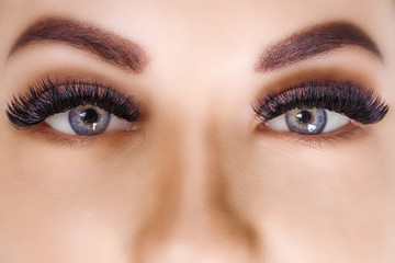 Eyelash Extension Procedure. Woman Eye with Long Eyelashes. Close up, selective focus. Hollywood,...