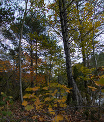 Fototapeta premium paisaje natural con cielo