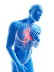 3d rendered illustration of a man having pain in the chest