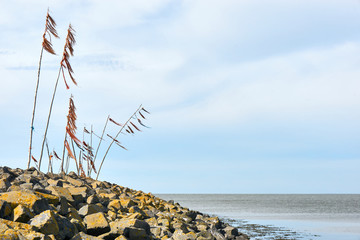 Obraz premium Breakwater or pier with poles and colored rope and plastic waving in the wind on breakwater or pier in the Wadden Sea near the entrance to the port of Harlingen The Netherlands with copy space
