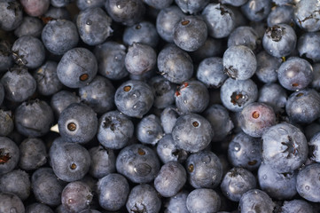 Many bilberry texture