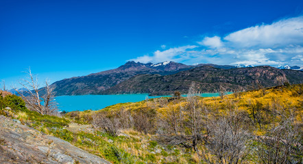 Panoramic view of Torres del Paine National Park, its forests, lagoon and glaciers at Autumn, Patagonia, Chile, sunny day, blue sky