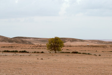 Fototapeta na wymiar paisaje natural con cielo