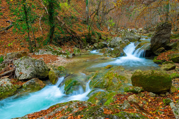 Obraz na płótnie Canvas Autumn gorge with fast mountain river, delightful landscape postcard