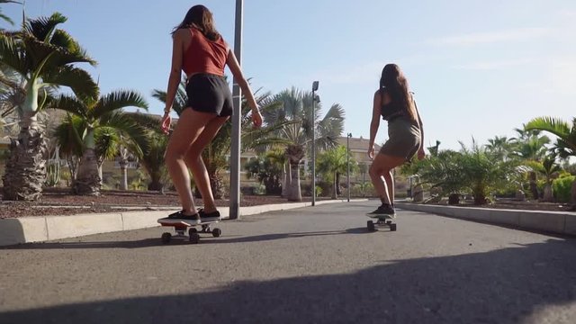 Two girls on skateboards in short shorts rides along the road along the beach and palm trees in slow motion. The concept of a healthy lifestyle