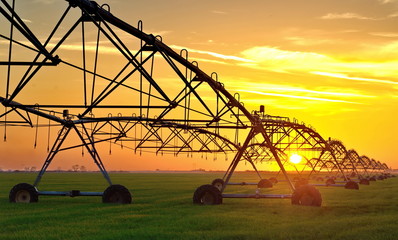 irrigation of a field in sunset