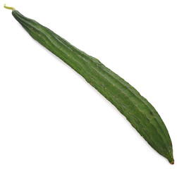 Luffa acutangula on white background