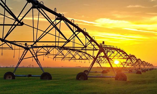 Irrigation Of A Field In Sunset