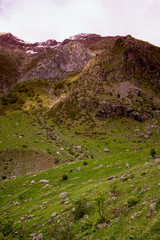paisaje natural con cielo