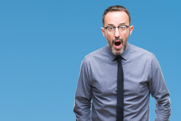 Middle age hoary senior business man wearing glasses over isolated background afraid and shocked with surprise expression, fear and excited face.