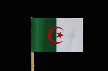 A original and official flag of Algeria on toothpick on black background. Consists of two equal...