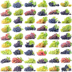 Collection Grapes on a white background