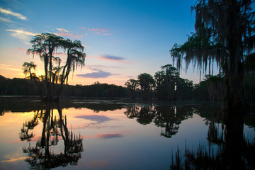 Sunrise, Banks Lake, GA	