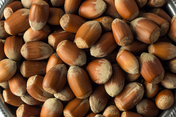 Ripe hazelnut. Concept - healthy eating, vegetarianism.