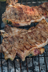 Traditional way of barbeque in South Africa called a braai