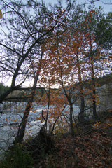 Fototapeta premium paisaje natural con cielo
