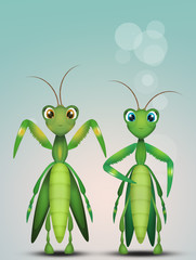 two mantis couple