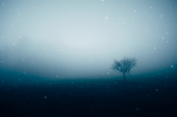Fototapeta na wymiar tree on foggy hill, minimal dark fantasy landscape