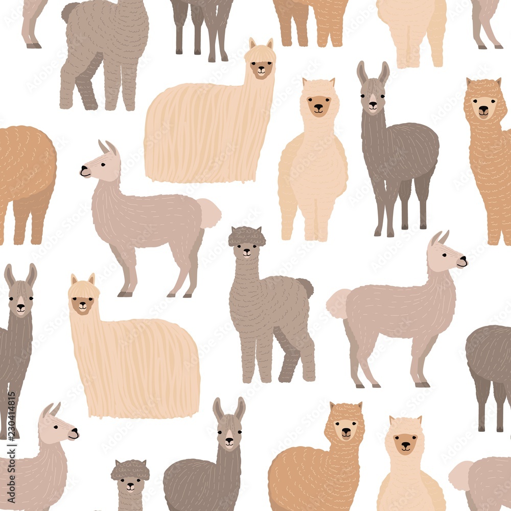 Poster seamless pattern with cute llamas and alpacas on white background. backdrop with funny wild wooly do