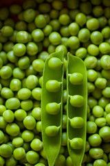 Beans and pods of green peas lie on a large number of other peas.