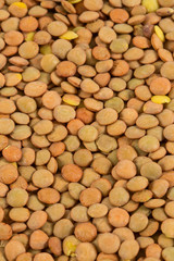 lentils isolated on white