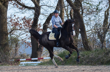 Galopp Springpferd
