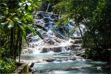 waterfall in the forest