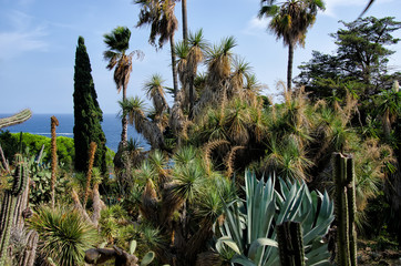 Fototapeta premium Marimurtra botanical garden in Blanes, Costa Brava, Spain
