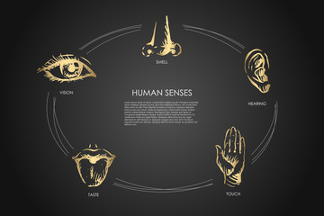 Human senses - vision, taste, touch, hearing, smell vector concept set