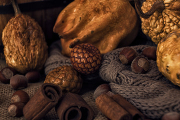 Autumn pumpkins in dark rustic cozy style