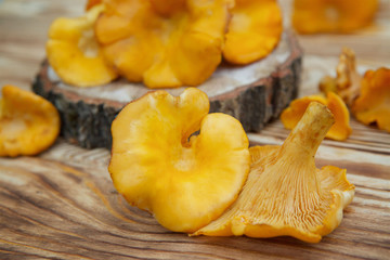 Chanterelle mushrooms