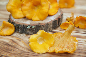 Chanterelle mushrooms