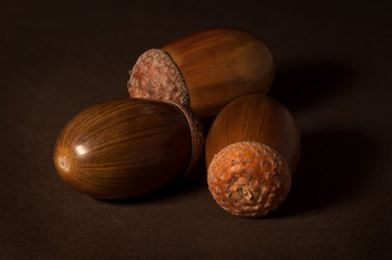 Three ripe acorns isolated on a brown background