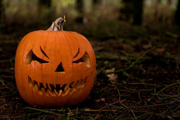 scary halloween pumpkin in the forest