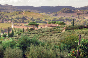 Fototapeta na wymiar Villa in rural landscape of Tuscany with garden trees, green hills. Italian countryside