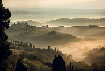Rural landscape at misty sunrise. Hills of Tuscany with garden trees, villas, green hills, countryside at early morning time, Italy