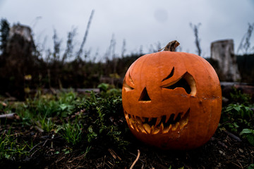 scary halloween pumpkin in the forest